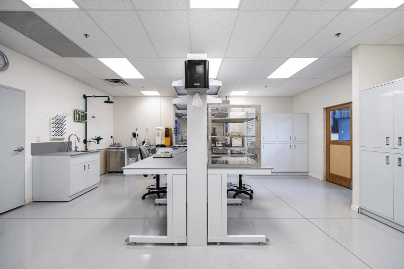 實驗室裝修預算控制：如何在保證質量的前提下節省成本
